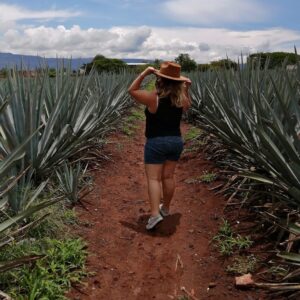 RUTA DEL TEQUILA